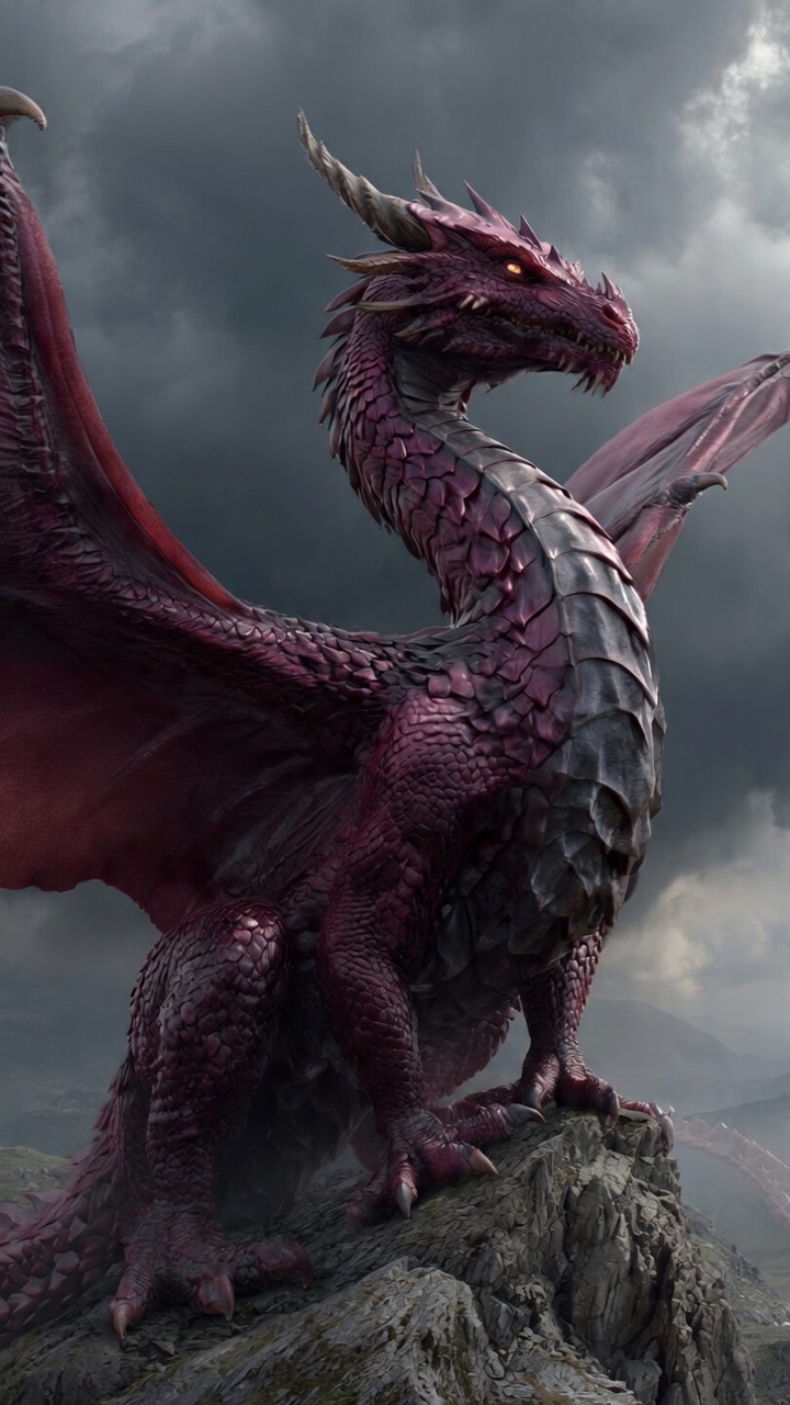 O Rei Dragão